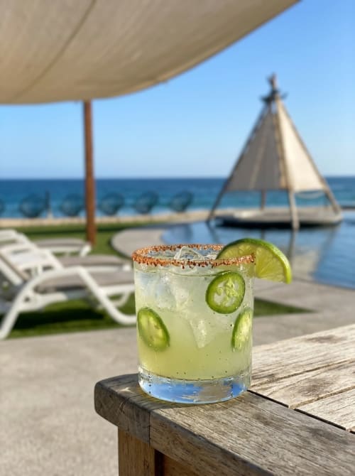 Jalapeño margarita with tajada-style canopy overlooking ocean at Vidasoul beachfront BnB, La Vinorama MX