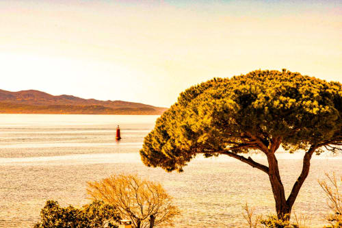 Mediterranean coastal view from Hôtel Villa Martini in Ajaccio with pine tree, bay, and mountains