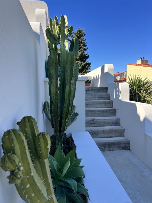 Des marches en bois mènent à la villa blanche de Can Jeannette à Collioure, avec un cactus en colonne et des plantes fleuries au premier plan