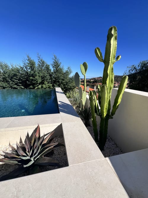 Terrasse piscine villa moderne avec cactus saguaro, vue mer sur Collioure, France à Can Jeannette