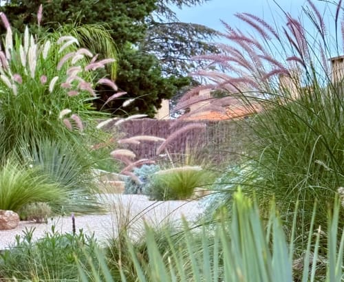 Jardin méditerranéen luxuriant avec herbes ornementales à la villa Can Jeannette à Collioure, France