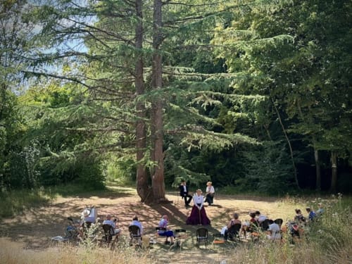 Outdoor gathering under ancient trees at Domaine de l'Ocrerie, a French bed and breakfast in Pourrain
