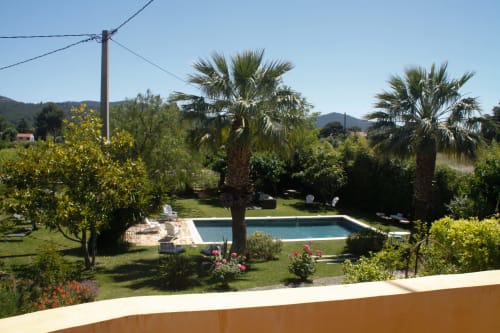 Giardino con piscina del Clos Bb, palme e lettini a Saint-Cyr-sur-Mer