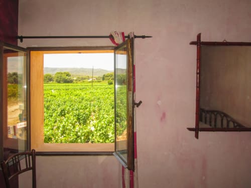 Open double doors at Clos Bb in Saint-Cyr sur Mer overlook expansive vineyards