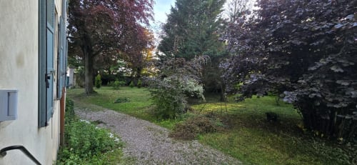 Jardins luxuriants de la maison d'hôtes Maison Agami à Rosières aux Salines, avec arbres matures et allée gravillonnée