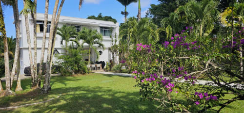 Villa bungalow blanche moderne à Habitation Villa Les Cassias avec jardin tropical, fleurs de bougainvillée violette, palmiers et