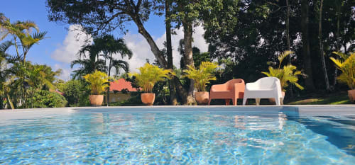 Tropischer Pool im Habitation Villa Les Cassias in Petit Bourg mit Liegen, Palmen und üppigen Gärten