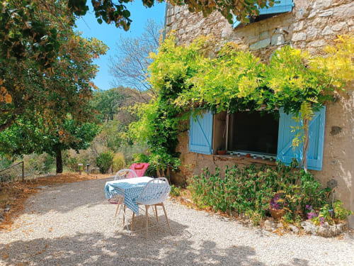 Charmante cour de la maison d'hôtes Les Mûriers D'Engaspaty à Seillans avec volets bleus, murs en pierre couverts de lierre et