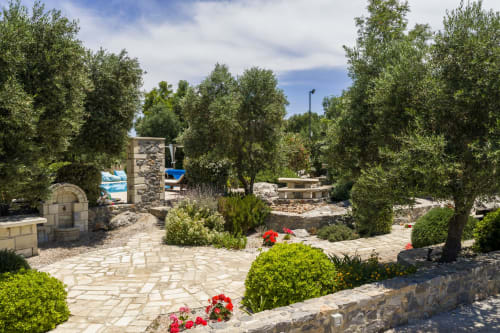 Villa Freedom's Mediterranean garden with stone pathways, olive trees, and red flowers in Kokkino Chorio, Crete