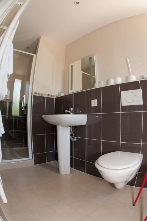 Salle de bain moderne du Jardin de la Reyssouze avec lavabo sur colonne, toilettes et douche à l'italienne à Gorrevod