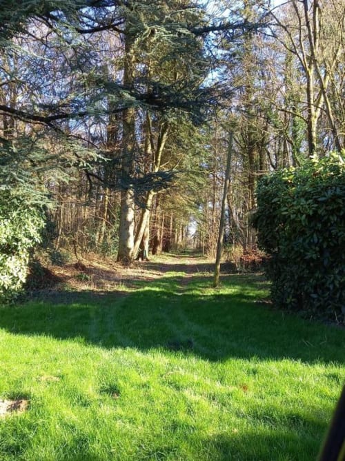 Allée bordée d'arbres avec pelouse verte au château de Mons-Boubert en Picardie, France