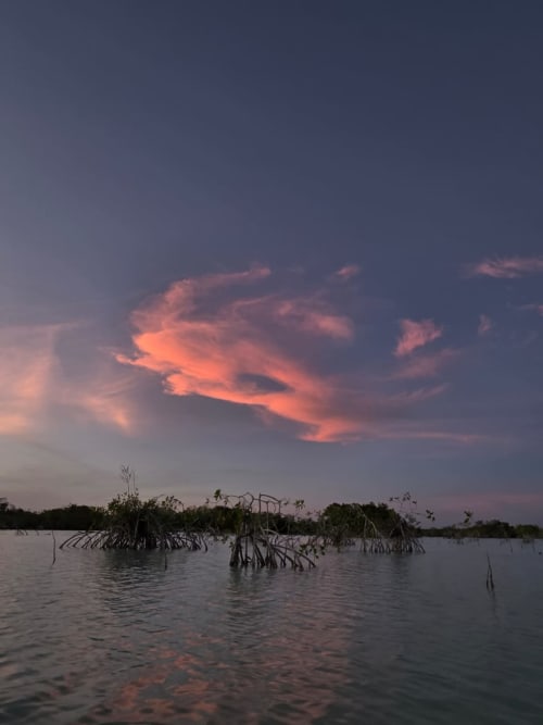 Atardecer sobre manglares y laguna en el hostal Cayuco Maya de Bacalar, México
