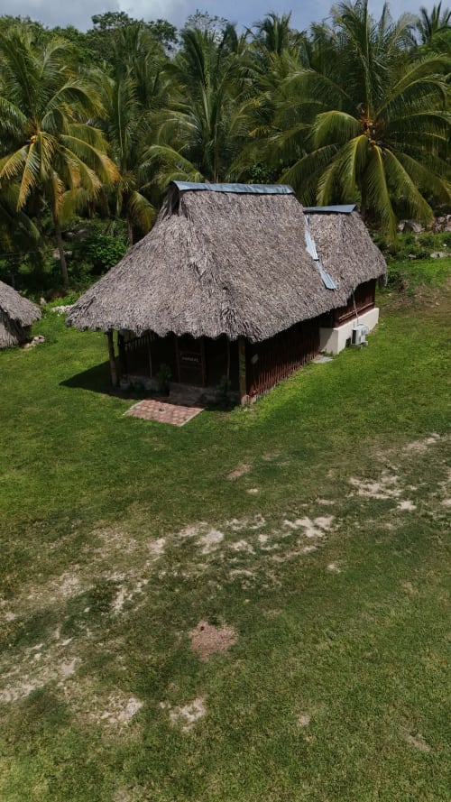 Cabaña tradicional con techo de palma en el hostal Cayuco Maya en Bacalar, rodeada de palmeras y césped verde