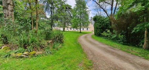 Allée bordée d'arbres menant au Manoir de Saint-Ouen avec pelouses paysagées à Sideville, France