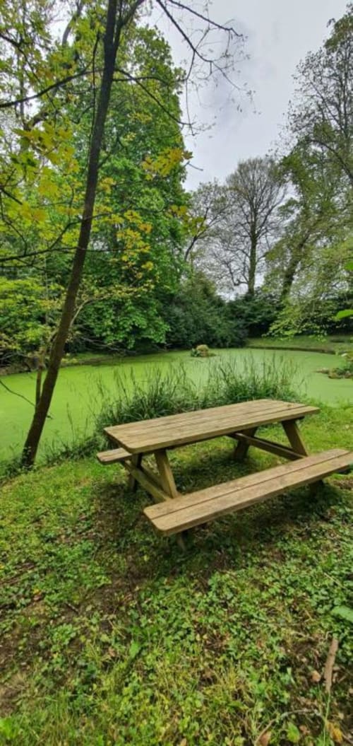 Table de pique-nique en bois avec vue sur l'étang dans le jardin verdoyant du Manoir de Saint-Ouen, Sideville