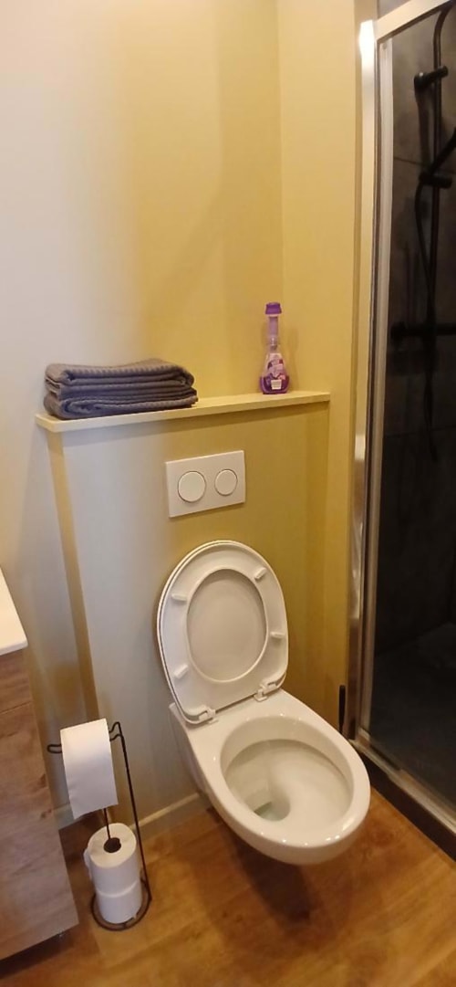 Modern bathroom with white toilet, dual flush button, shelf with towels and purple soap bottle, toilet paper holder at Les