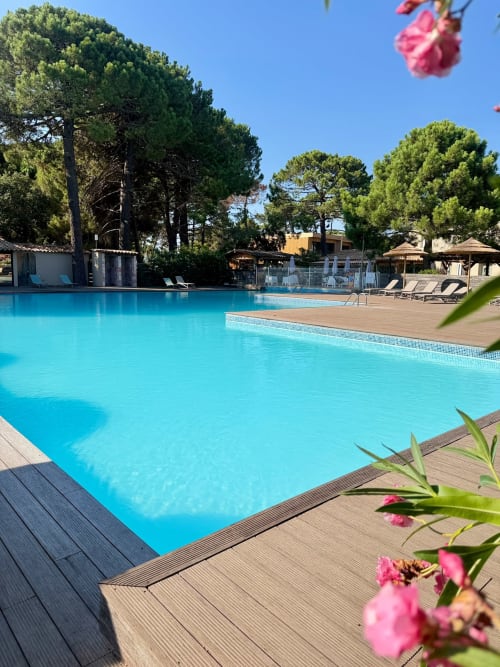 Piscine turquoise de la villa ALMA ROSSA à Lecci avec terrasse en bois, fleurs roses et pins sous ciel bleu