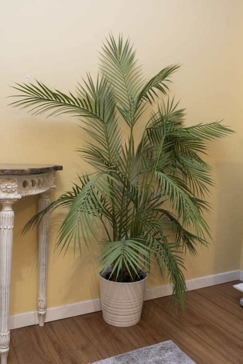 Exuberante planta de palmeira verde em vaso de cerâmica branca ao lado de um pedestal ornamentado no saguão do apartamento em Braga