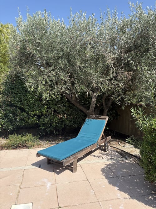 Chaise longue bleue sur la terrasse sous un olivier centenaire à la Conciergerie Maurin à Arles, France