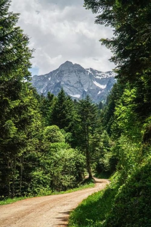 Mountain vista framed by forest leading to snow-capped peaks near Vielha hotel