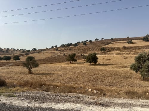Paysage de colline aride avec oliviers près de l'hôtel Eucalyptus Ethnic à El Ghazouane, Essaouira
