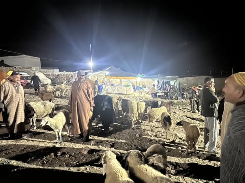 Marché aux moutons nocturne à l'hôtel Eucalyptus Ethnic d'Essaouira avec vendeurs et bétail