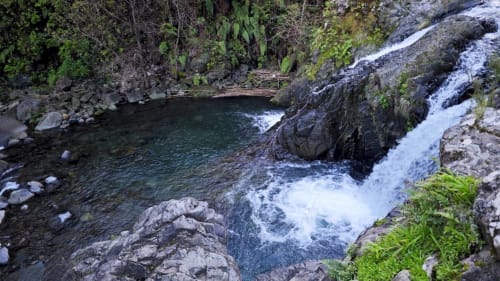 Cachoeira em cascata caindo em piscina cristalina cercada por vegetação exuberante no Refúgio do Nevoeiro em Porto Moniz