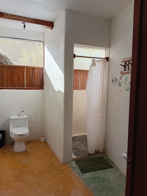 Baño de la habitación Tucán en el hostal Cayuco Maya, Bacalar con inodoro, ducha y vigas de madera