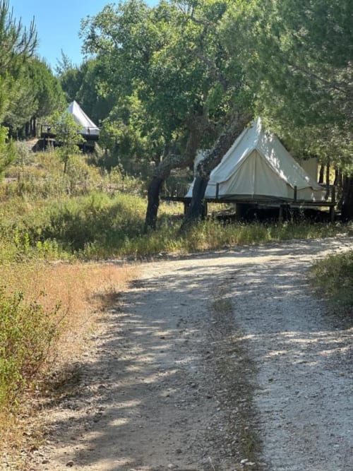 Tenda de glamping branca entre árvores no Monte da Tojeiranha, hospedaria à beira do lago em Montargil, Portugal