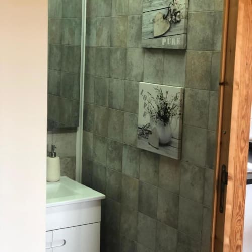Banheiro moderno com parede em azulejos verdes, pia branca, dispenser de sabonete e decoração artística de planta em Monte da Tojeirinha