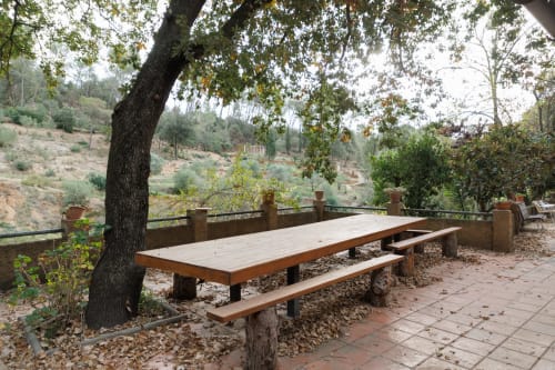Mesas de picnic al aire libre bajo árbol en Masias Can Trabal con vistas a la ladera de Olerdola