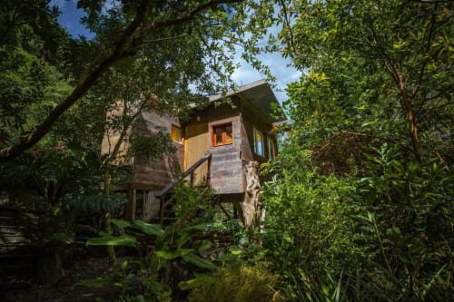 Bungalow dans les arbres entouré de forêt luxuriante au Gite Eden du randonneur, Entre-Deux, Île de la Réunion