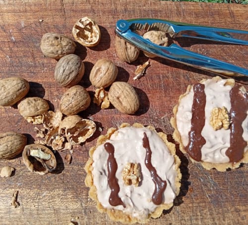 Noix et pâtisseries au chocolat sur une surface en bois à la Prehistogite B&B, St Genies France