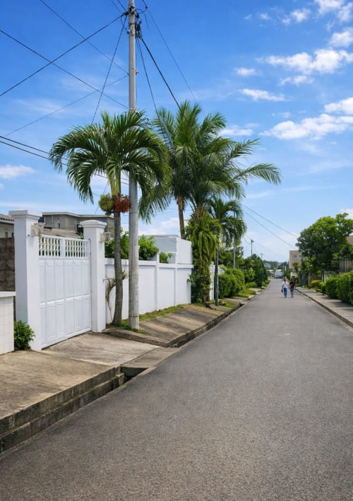 Vue tropicale de la villa La Villa des Pins à Akanda avec palmiers et portail blanc