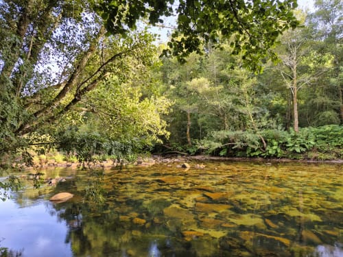 Río sereno fluyendo a través del bosque exuberante en Aldea Rural Pazos De Arenteiro, rodeado de árboles y paisaje natural