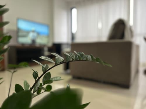 Sala de estar moderna em BORA BORA HOSPEDAGENS em Joinville com planta verde, sofá, TV e vista da cidade