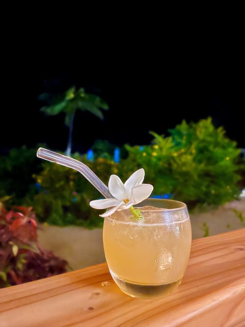 Tropical cocktail with white flower garnish at OPOA Beach Hôtel, Uturoa, French Polynesia