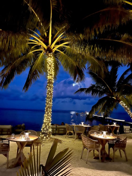 Illuminated palm tree on sandy beach at OPOA Beach Hôtel Uturoa, dining tables under starlit sky