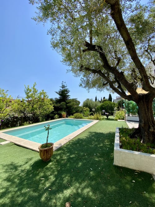 Zone de piscine luxueuse à STAYnGOLF Cagnes sur Mer avec eau turquoise, pelouse verdoyante, olivier centenaire et villa vue mer