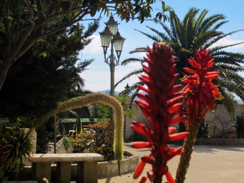 Giardino tropicale nella corte dell'Hotel Villa Giardinata a Valderice con fiori rossi, palme, lanterna e pietra