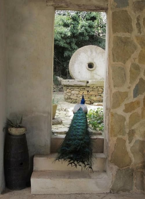 Statua di pavone nel giardino della suite dell'Hotel Candalú, Valderice Sicilia, con macina in pietra e stile mediterraneo