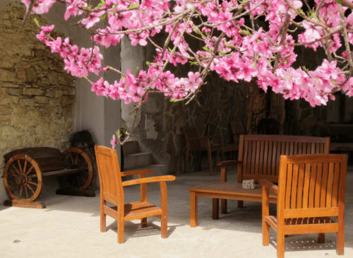 Albero in fiore rosa con sedie in legno nel giardino dell'Hotel Candalú, Valderice Sicilia