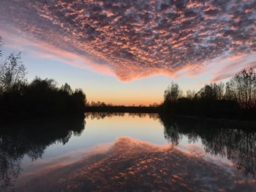 Lever de soleil serein sur le lac tranquille avec bouleaux aux Gîtes de Cormenin, Saint-Hilaire-sur-Puiseaux