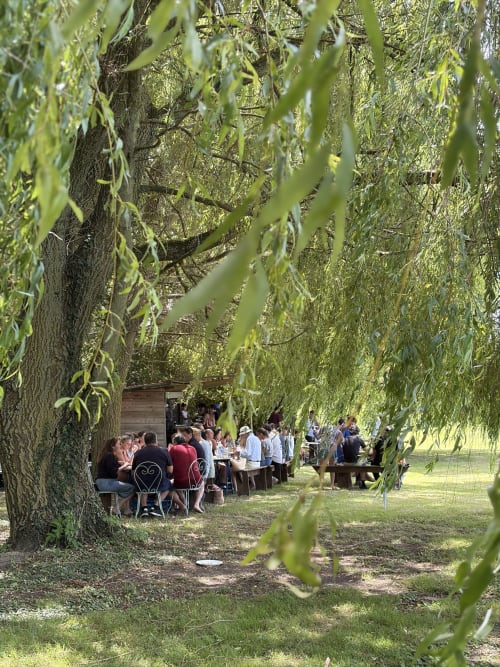 Repas en groupe sous les saules pleureurs aux gîtes de Cormenin à Saint-Hilaire-sur-Puiseaux