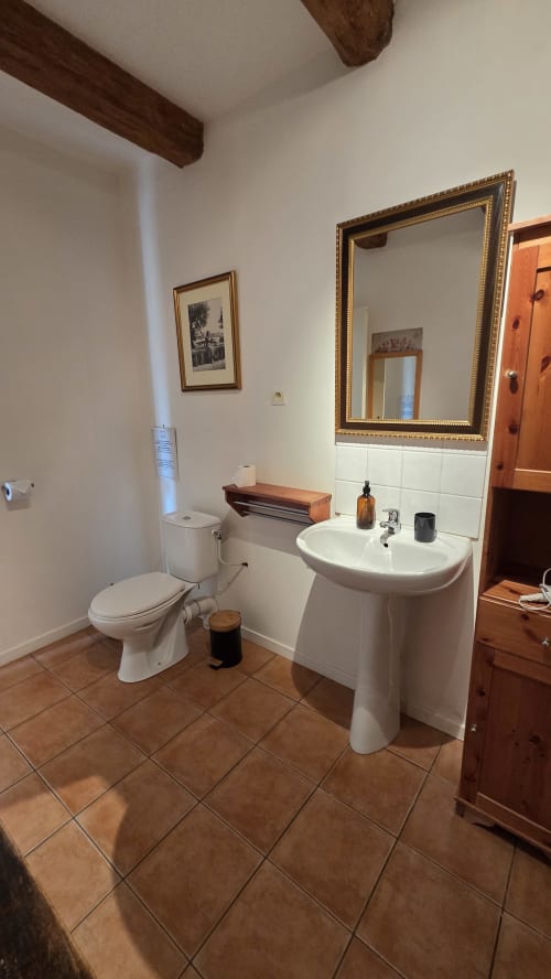 Bathroom with pedestal sink, toilet, and ornate mirror at Manoir de la Bégaudière in Mont-Dol