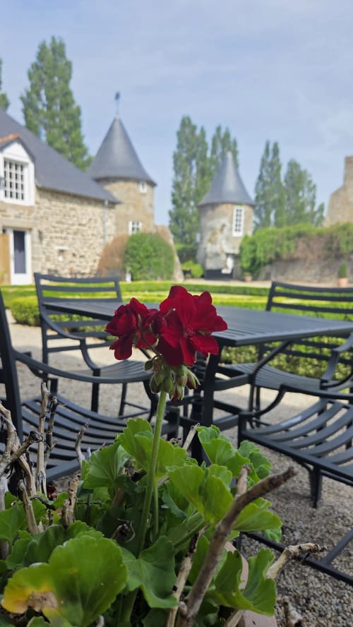 Deep red geranium on terrace with medieval towers and poplar trees at Manoir de la Bégaudière, Mont-Dol