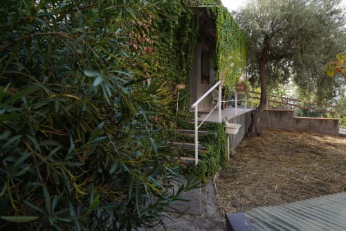 Ingresso della casa colonica ricoperto di edera con scalinata bianca presso la Fattoria Pupi Catania Etna B&B, circondata da vegetazione lussureggiante