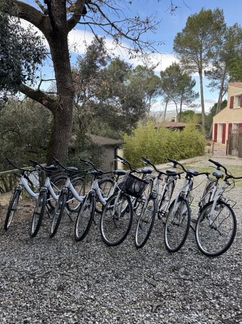 Rangée de vélos de location au Domaine d'Olga à Aniane, France, avec arbres et bâtiments de campagne