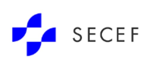Logo SECEF avec design géométrique bleu pour la gestion immobilière Maison Agami à Rosières aux Salines