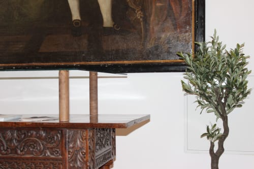 Muebles de madera con detalles tallados y planta de olivo en maceta en estudio Palacio Mambrilla, Valladolid